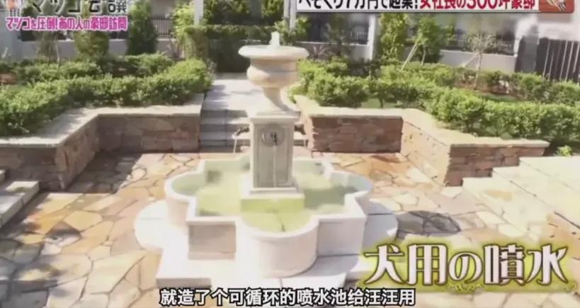 38岁家庭主妇创业20年,38岁日本家庭主妇