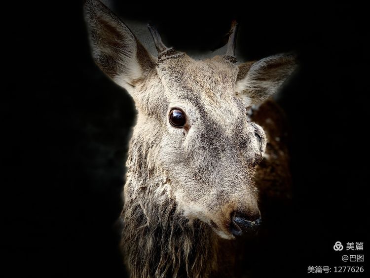 洛阳市宜阳凤凰岭射箭,宜阳县凤凰岭体育基地