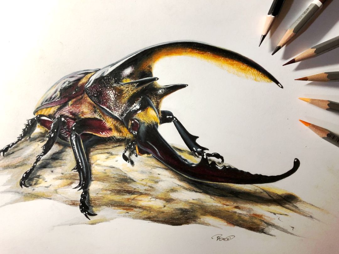 失明女孩铅笔画,保护视力守护心灵素描画