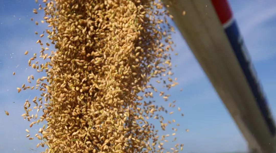 种植优质农产品如何推广,想把农产品卖好怎么办