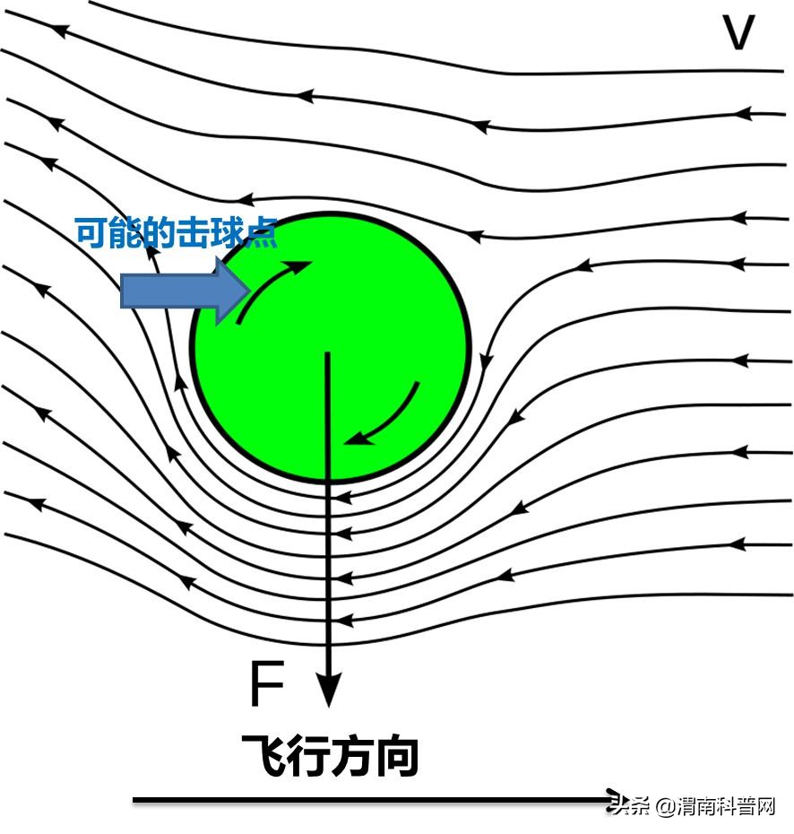 排球女排全胜夺冠视频,为什么排球可以提前夺冠