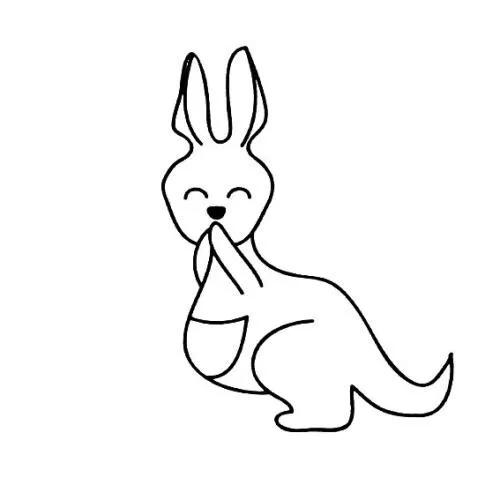 关于动物的冷知识大全素材库,关于动物冷知识大全书