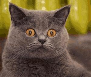 处女不会得妇科病？“啪啪”多了会变松？去你的吧