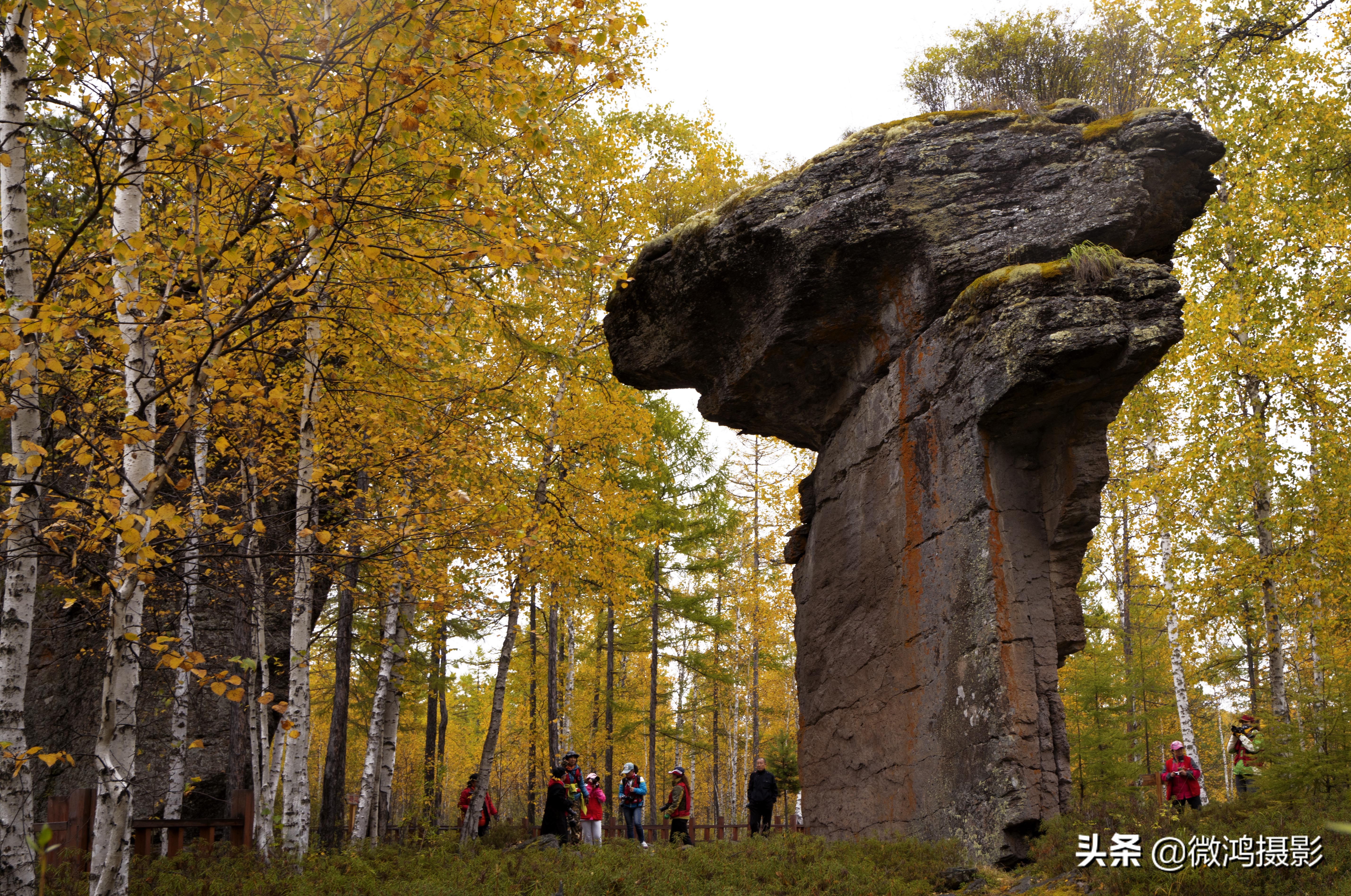 古岩石林图片大全,石林岩画