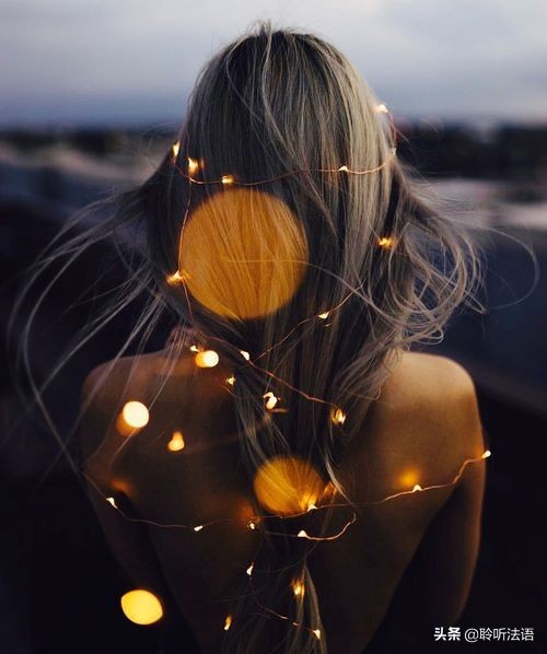 佛学经典讲座视频,佛学知识讲座