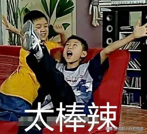 100万预算，考虑优质初中挂户，选择哪？