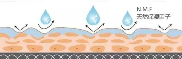 油性肌肤的六大护肤步骤,油性肌肤有粉刺如何护肤