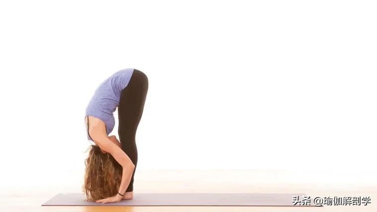 排热排湿的瑜伽,祛湿瑜伽和提升气血瑜伽