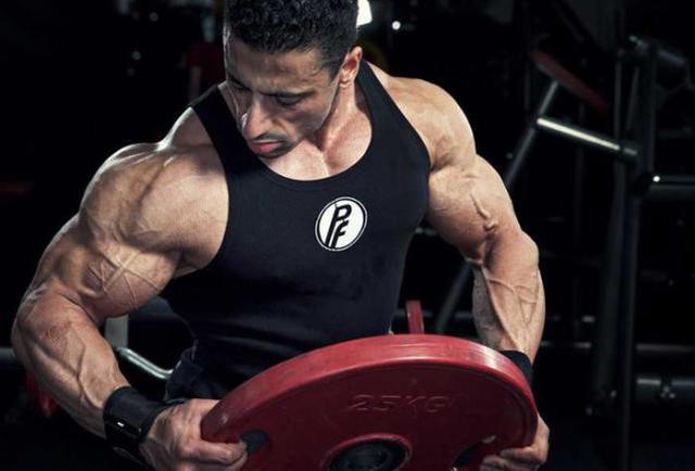 增肌减脂同步思路,增肌减脂进步期的私教训练规划