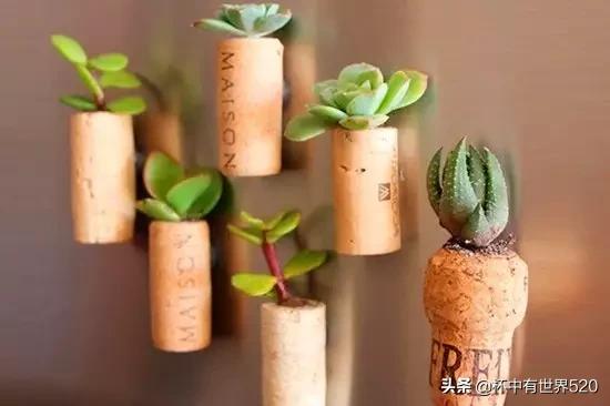 红酒木塞如何利用,红酒塞怎样做成艺术品