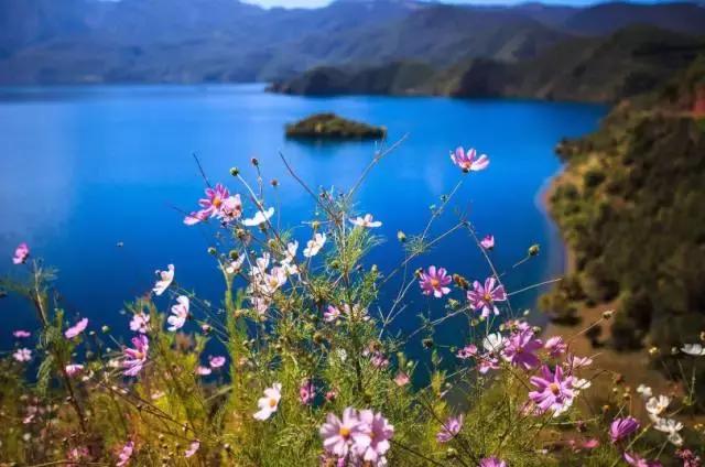 哪怕你去过云南不下10次,秋天的云南都值得你再来一次