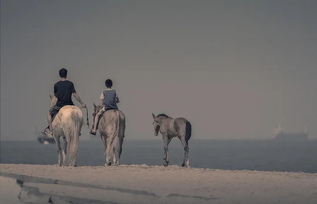 津门网向杰：盈滨半岛夕阳红