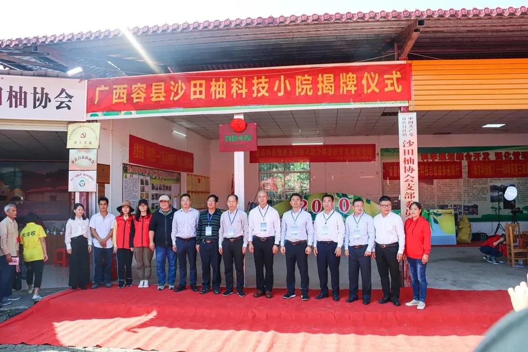广西容县自良镇沙田柚种植户,广西容县自良镇沙田柚商会会长