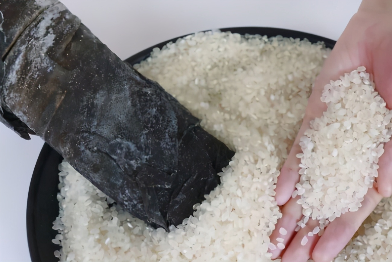 米生虫里面有虫卵,米饭上的虫卵长什么样子