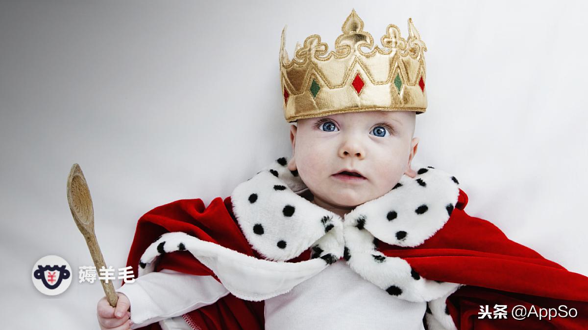 要买会员，谁家最值得？