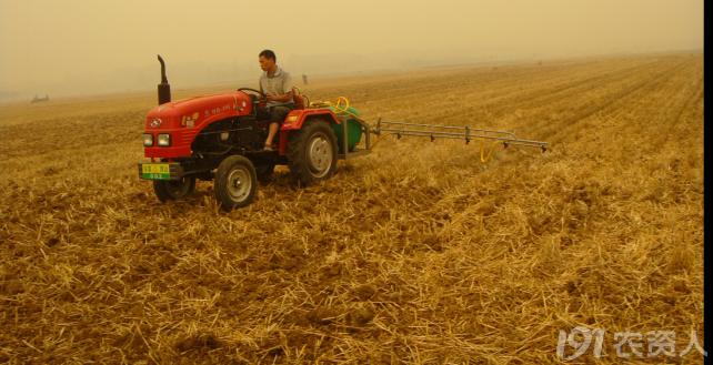 玉米花生种植高产技术,玉米高产高效种植技术
