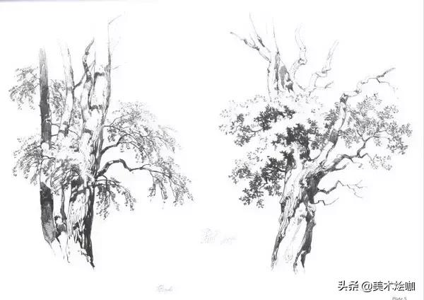高清素描临摹风景图入门,素描画画教程7-12岁风景图