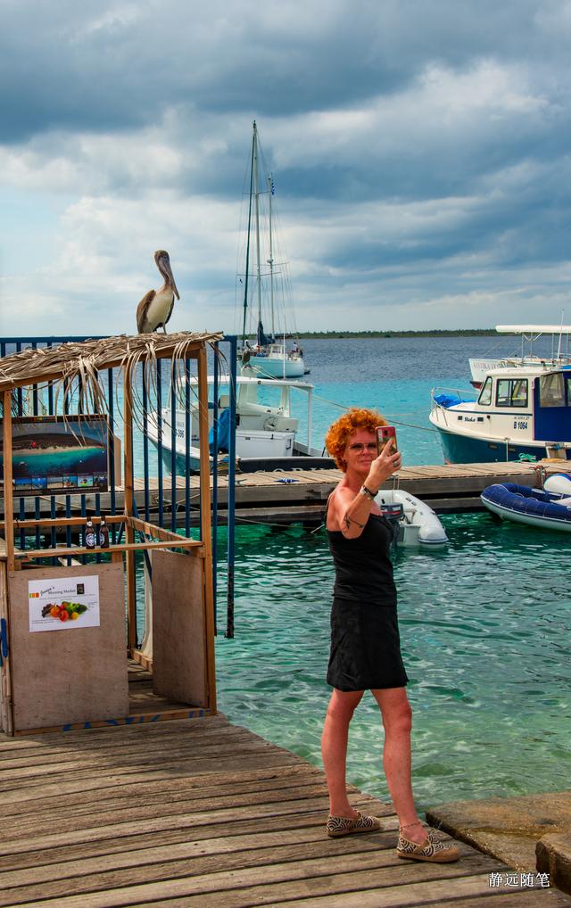 加勒比海邮轮旅行香港,加勒比海游轮旅行视频大全