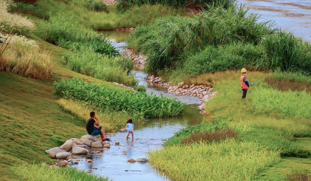 蝶变茅洲河，遇见城之美/同济设计TJAD