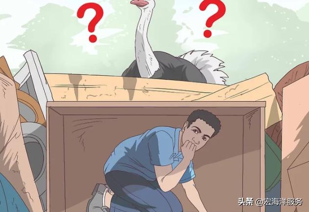 遇见野生动物不要慌,遇见鸵鸟