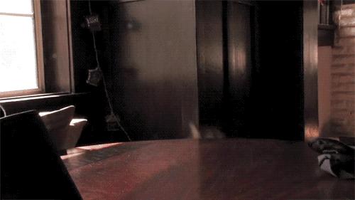 猫咪脚上有伤口得把毛全剃了吗,猫咪冬天剪毛发会感冒么