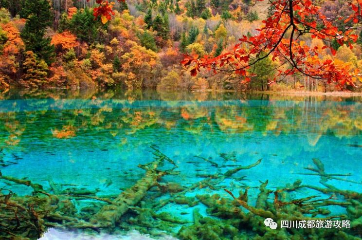 九寨沟跟阿坝州旅游,九寨沟与周边游