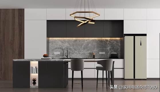 西门子纤薄对开门冰箱国美首发,西门子冰箱图片2019新款对开门