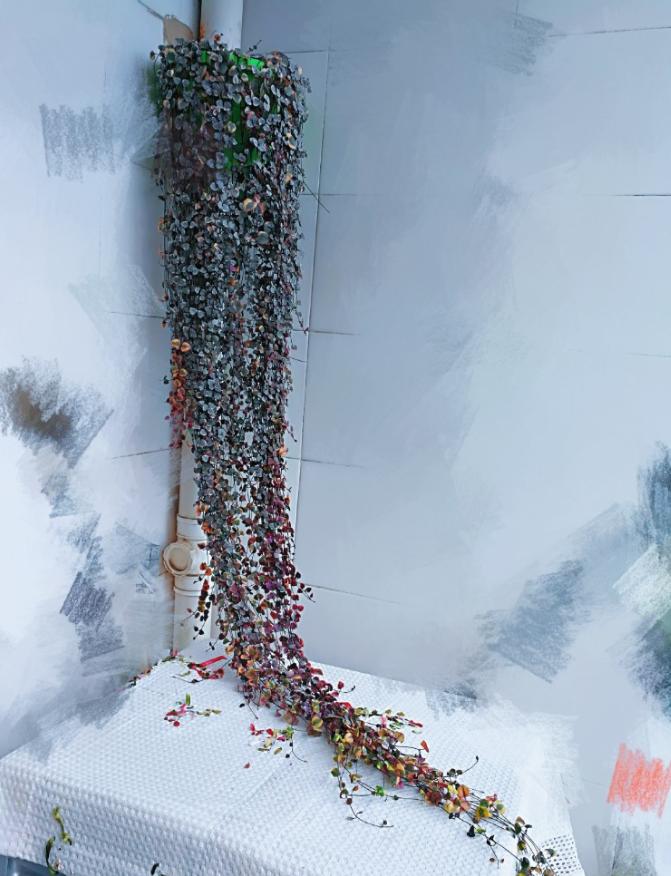 爬墙植物哪些最好养好看,爬墙效果好的植物