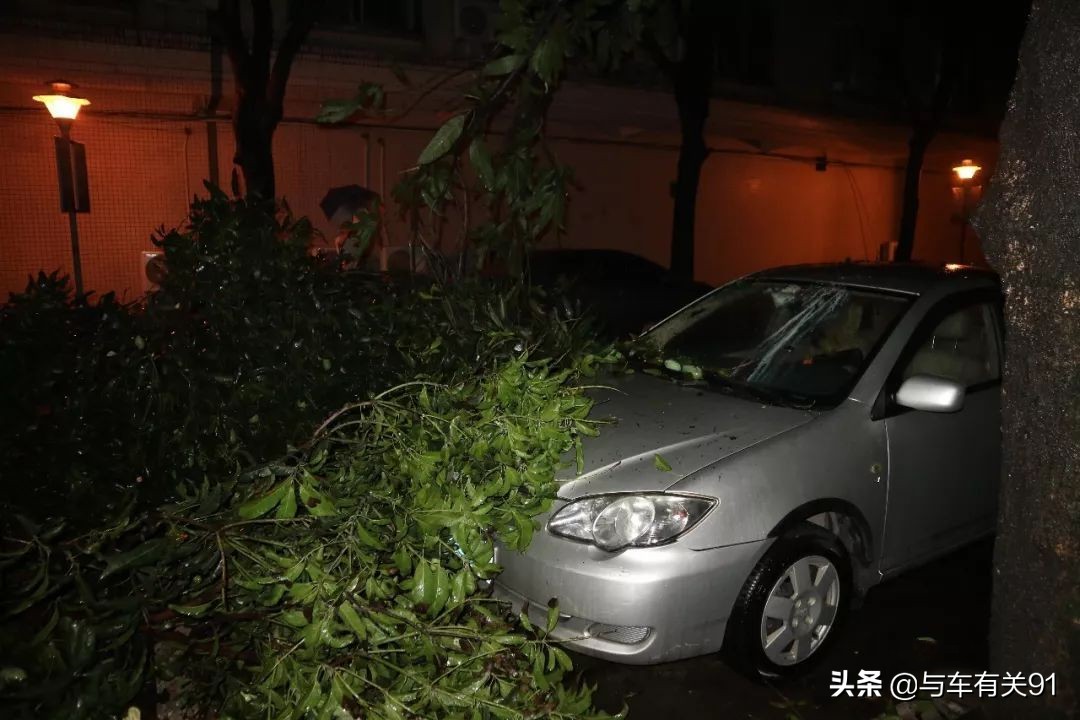 车被树砸了人保理赔吗,如果车被树砸了保险赔吗