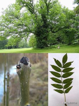 人造最亮的光,人造最亮的光源是多少流明