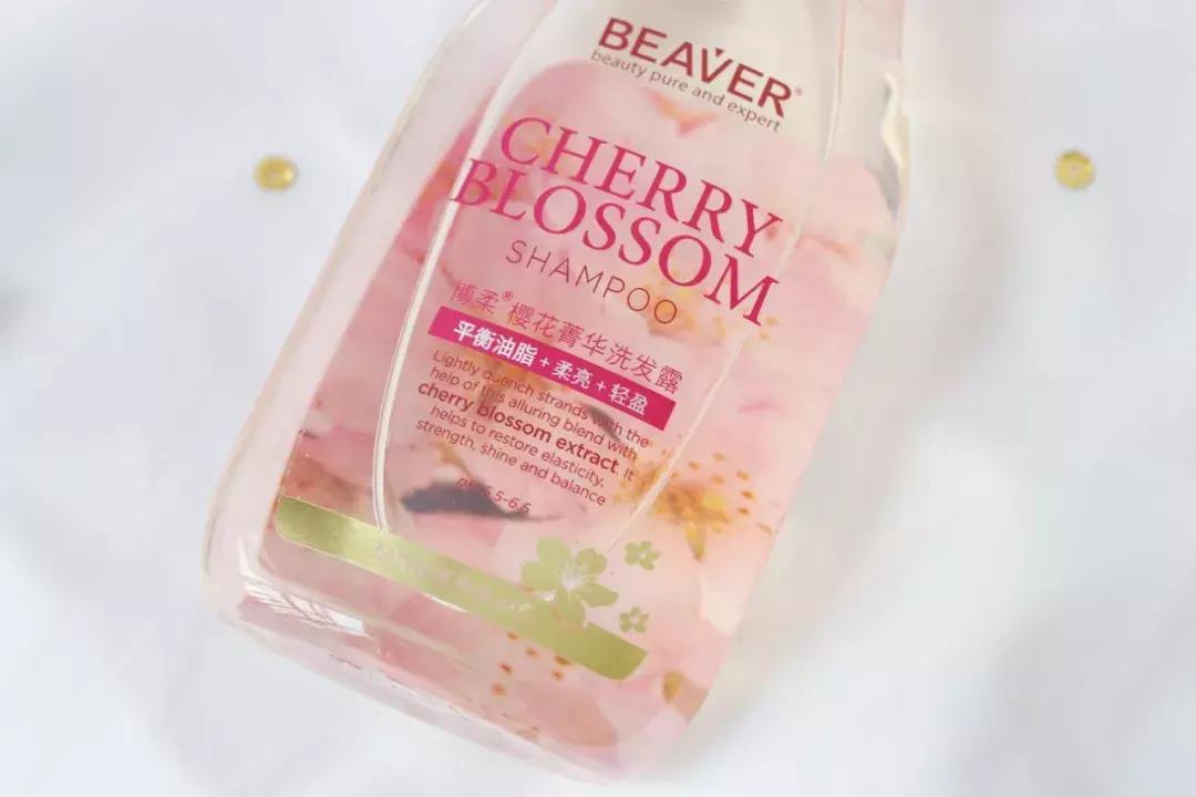 没时间去赏春,没时间去踏青