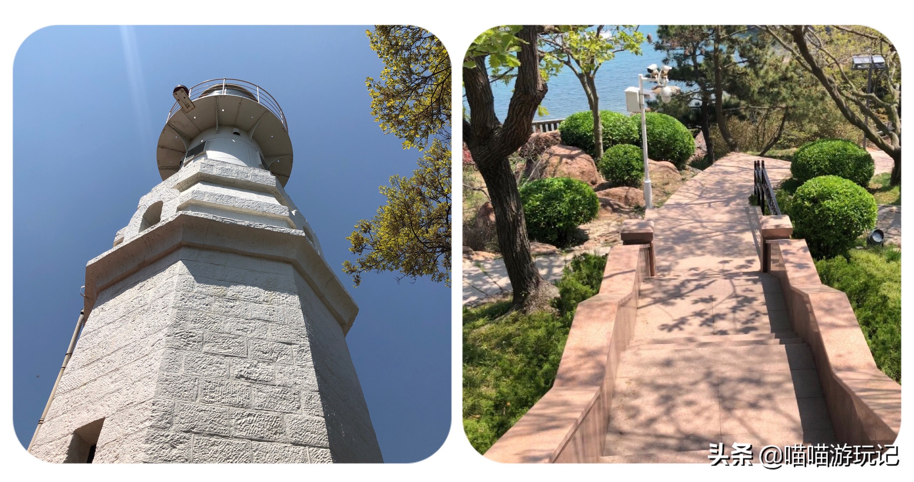 小青岛公园门票多少钱,青岛公园8块5