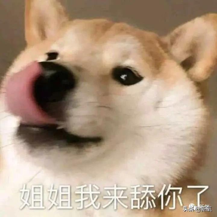 宁静和郑希怡对比,郑希怡和宁静对比