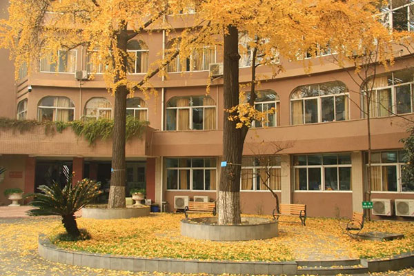 爱成都迎大运文明观赛,爱成都迎大运校运会