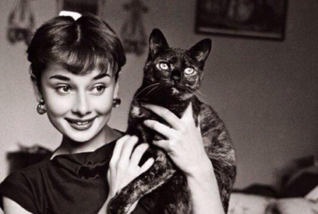 赫本是众多男人心中的女神,赫本坎坷情路