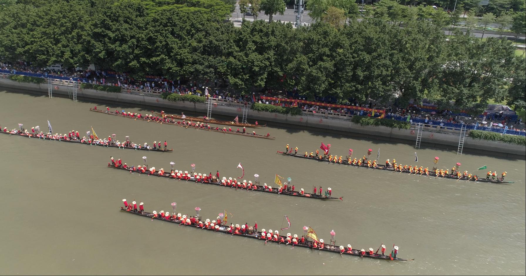 杨箕龙舟,杨箕村龙舟