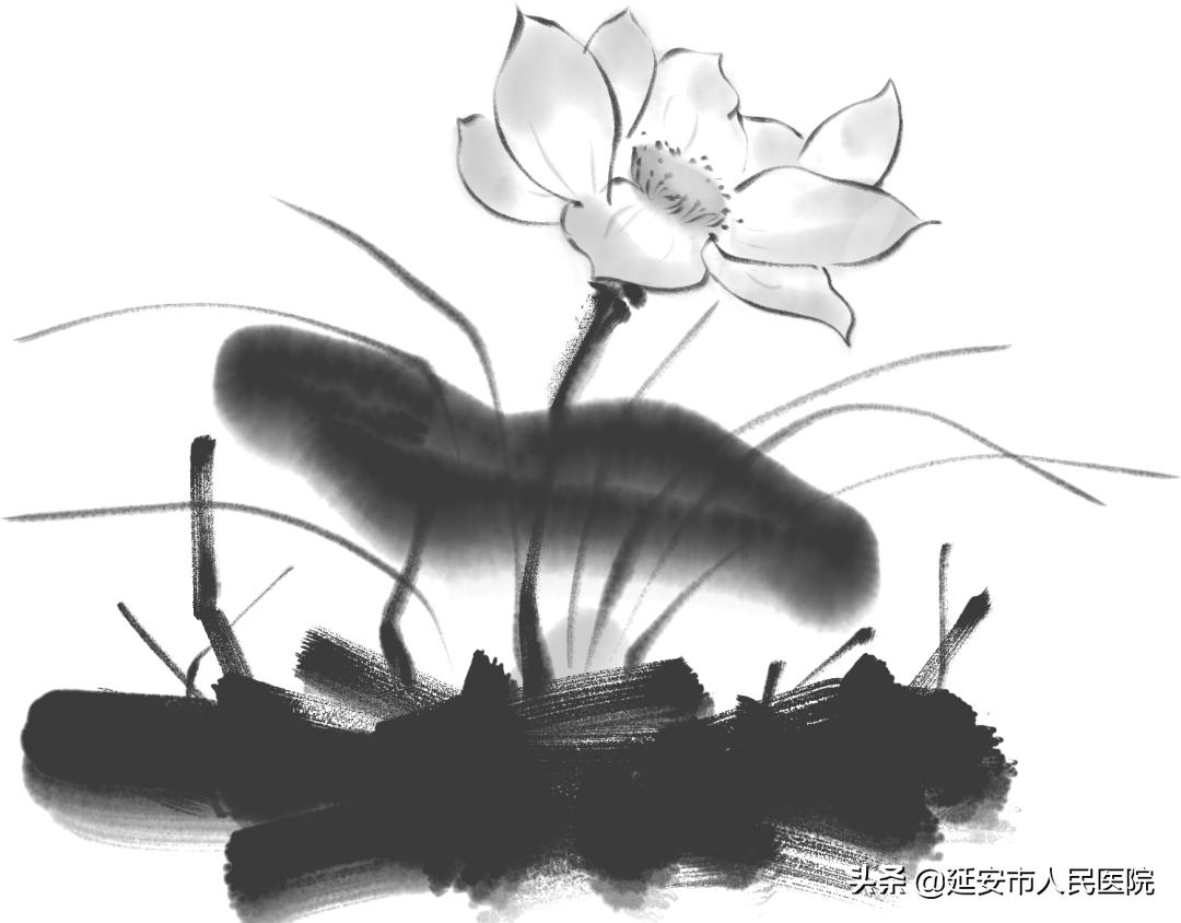 岭南林氏正骨手法,力到病除是什么意思