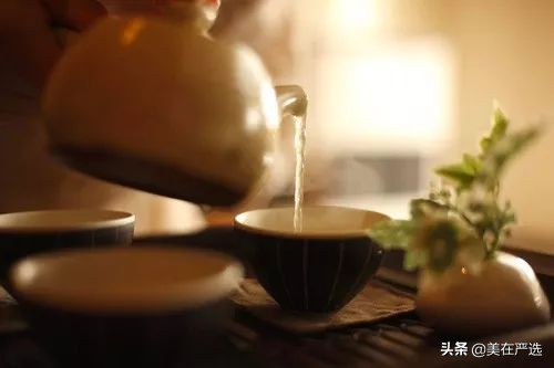 茶叶不能泡太久为什么还能煮,为什么茶叶可以煮却不能久泡