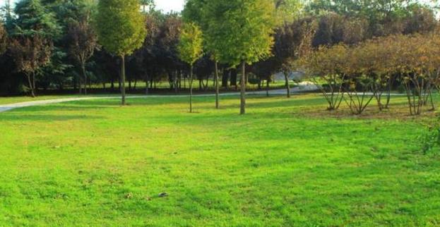 球场人造草坪施工方法,球场草坪施工方法教程