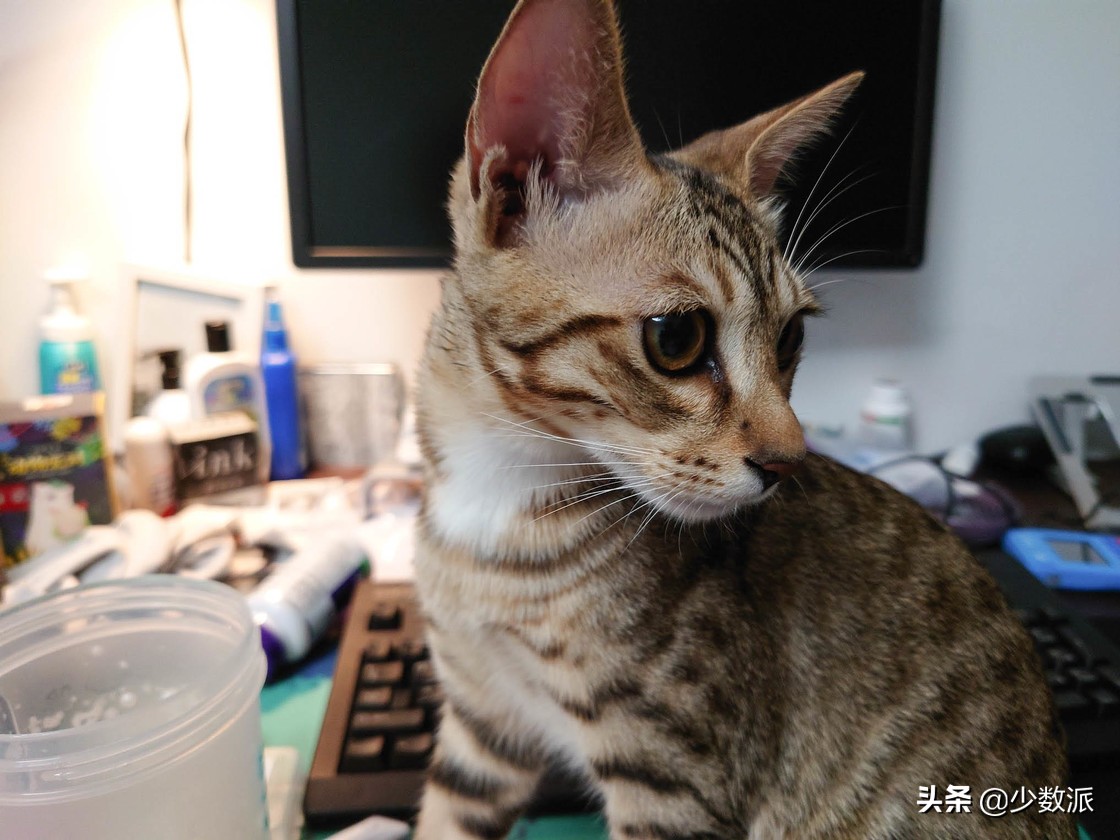 索尼手机xperia1ii真实体验,索尼xperia1ii现在还值得买吗