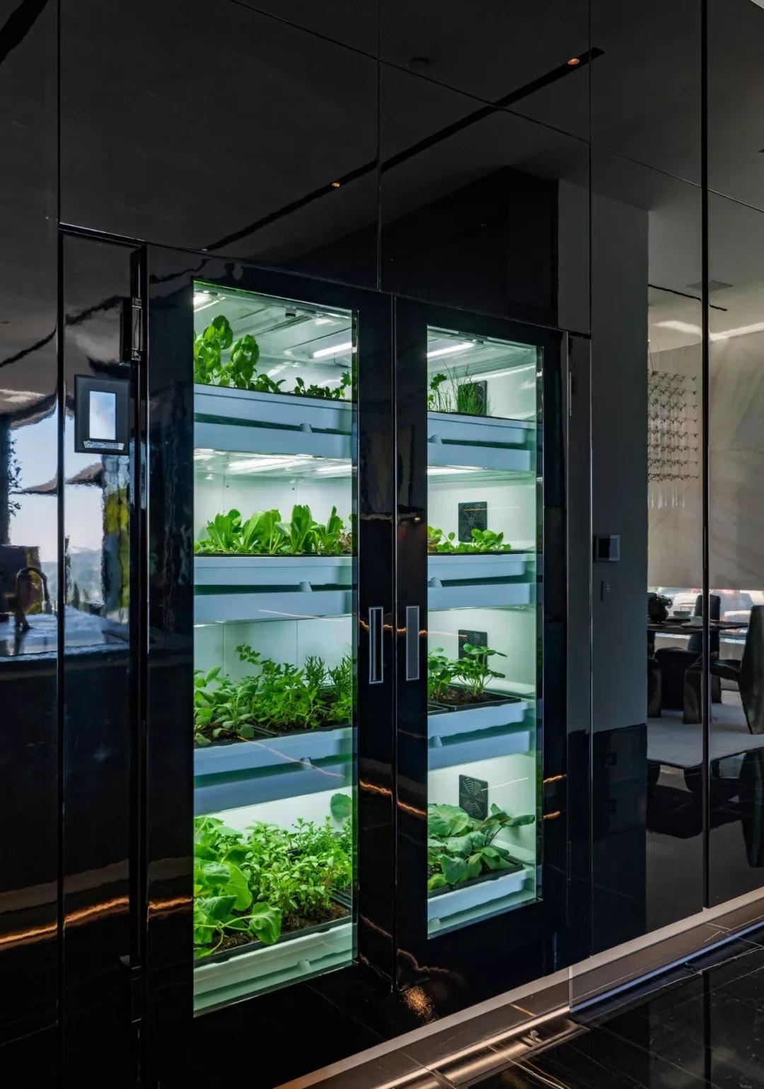 价值2.5亿的豪宅是什么样的设计