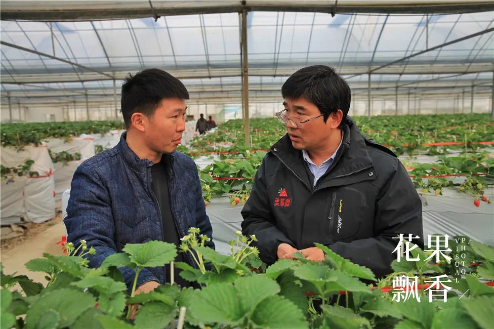 农业十个投资九个坑,农业有很多坑