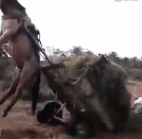 宝宝喝奶足够了为什么还是哭,新生儿闭着眼睛喝奶哭了