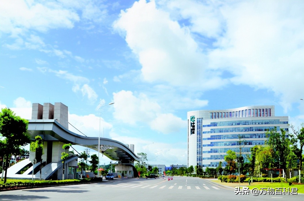 中国卷烟厂收入排名,中国各地卷烟厂销售额排名