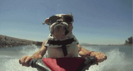 实探重庆万科璞园,重庆逛宜家