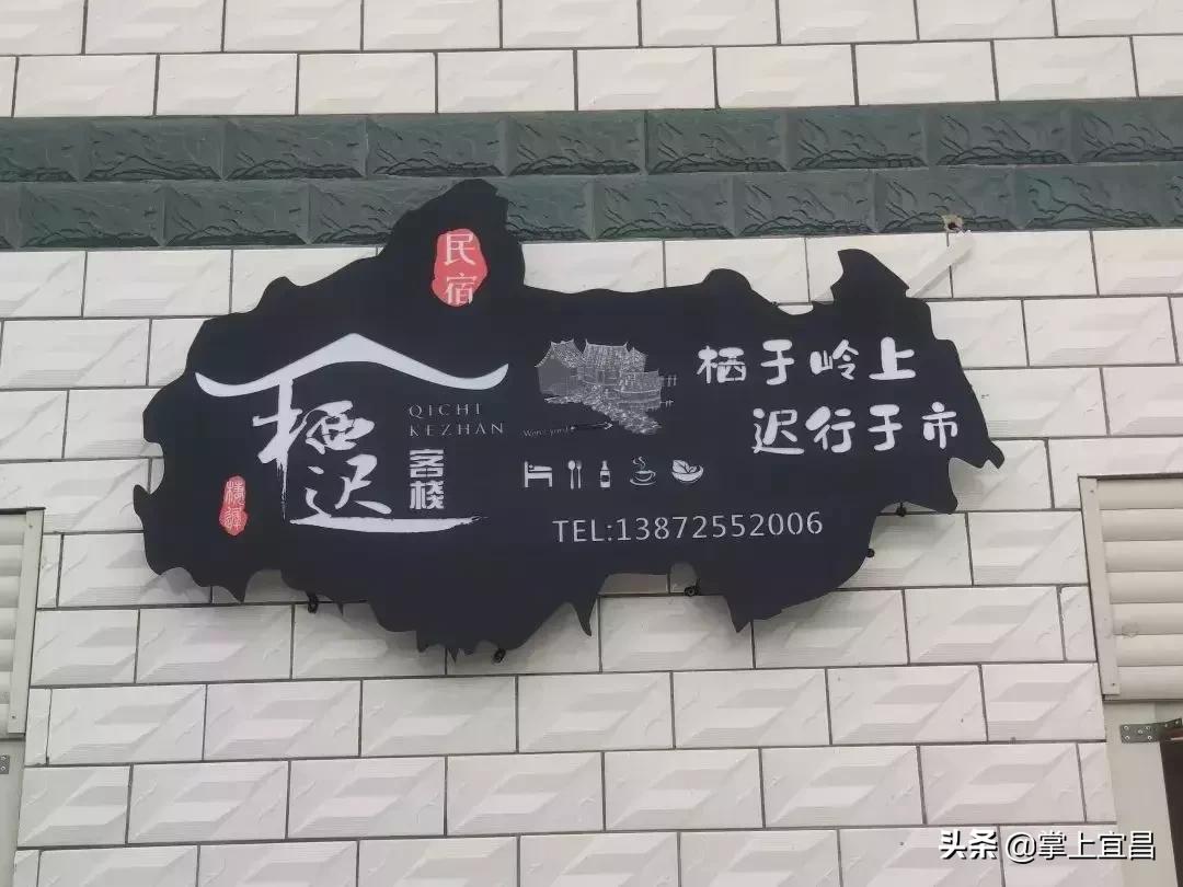 松子榛子,榛子东北榛子