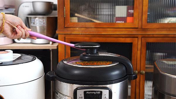 电压力锅到底怎么选,哪一款电压力锅最好用