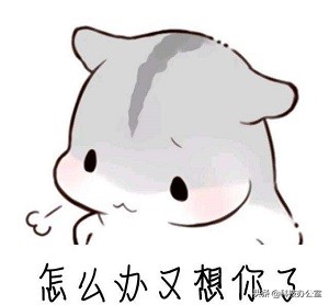 朋友圈发照片单张教学,朋友圈发照片怎么制作视频