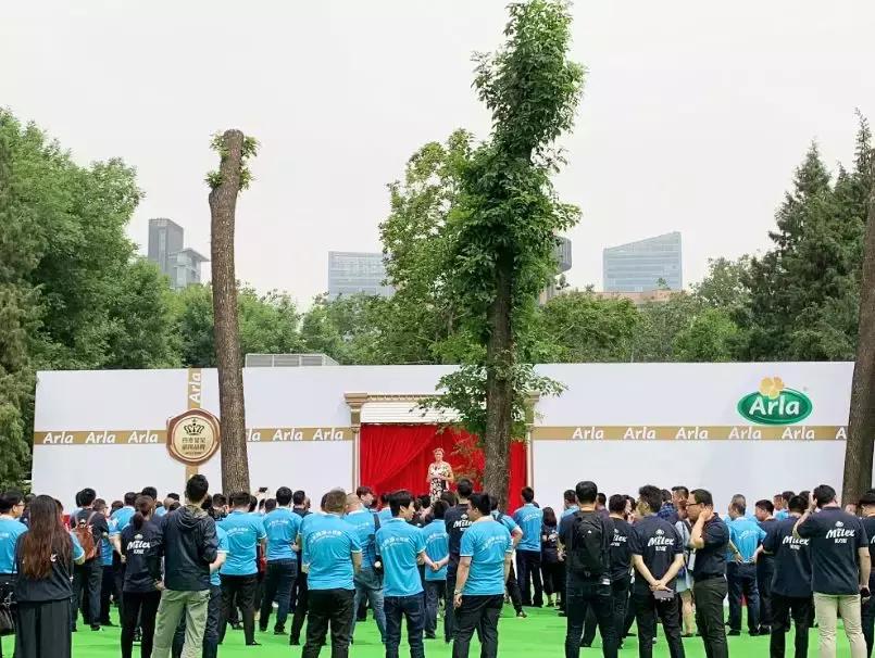 阿拉蓝曦和阿拉美力滋,美力滋和蓝曦哪个好