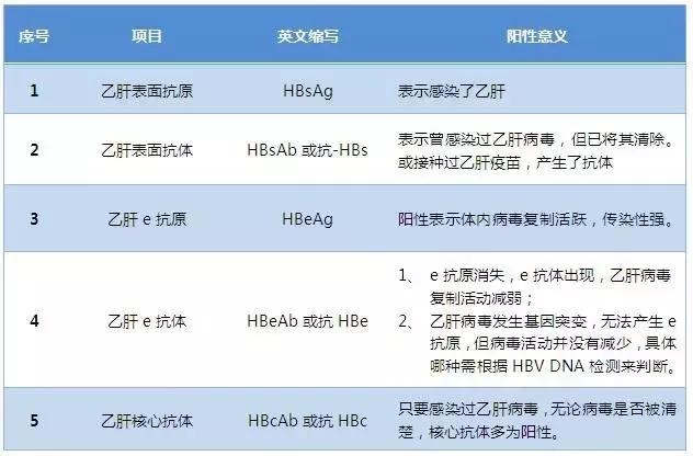 什么是“大三阳”“小三阳”?最全乙肝两对半解读